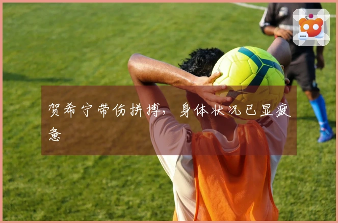 贺希宁带伤拼搏，身体状况已显疲惫