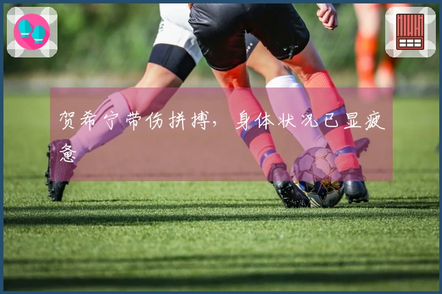 贺希宁带伤拼搏，身体状况已显疲惫